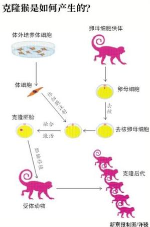 點(diǎn)擊進(jìn)入下一頁(yè)