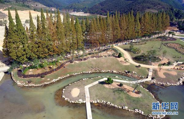　這是福建省邵武市衛(wèi)閩鎮(zhèn)花千谷莊園田園風光（2017年10月25日攝）。