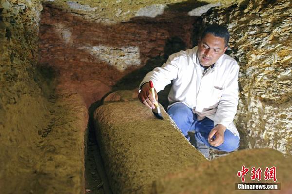 當?shù)貢r間2018年2月24日，埃及明亞，埃及古文物部部長阿納尼（Khaled al-Anani）發(fā)表聲明稱，埃及考古學家在開羅南部明亞發(fā)現(xiàn)了一個包括有八座墳墓和大約四十個石棺的大型墓地。3