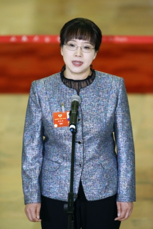 （4）全國政協委員接受采訪