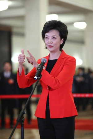 （8）全國政協委員接受采訪
