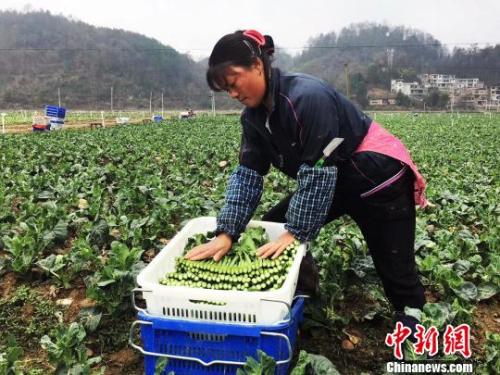 點(diǎn)擊進(jìn)入下一頁(yè)