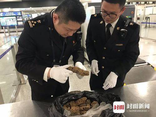 成都海關攔截大量入境活體螞蟻 旅客稱拿來泡酒