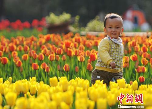 3月22日，小朋友在江西九江市濂溪區的九江新湖郁金香花博會現場玩耍?！『鷩帧z