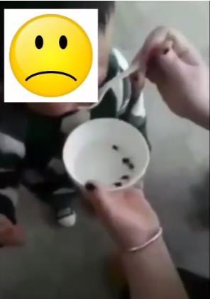 吃活蝌蚪可強身健體？含寄生蟲是真！