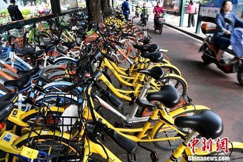 資料圖：多個(gè)企業(yè)的共享單車扎堆停放在城市街頭。<a target='_blank' href='http://www.chinanews.com/'>中新社</a>記者 張斌 攝