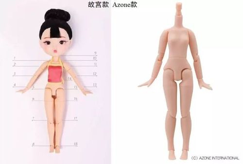 故宮掃不掃雪?博鰲論壇上故宮掌門人回答這些問題