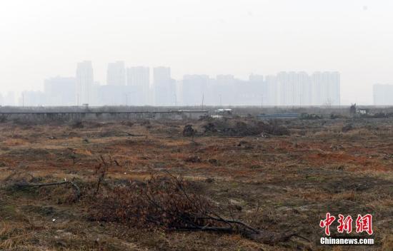 資料圖：土地已平整的區(qū)塊。<a target='_blank' href='http://www.chinanews.com/'>中新社</a>記者 王剛 攝
