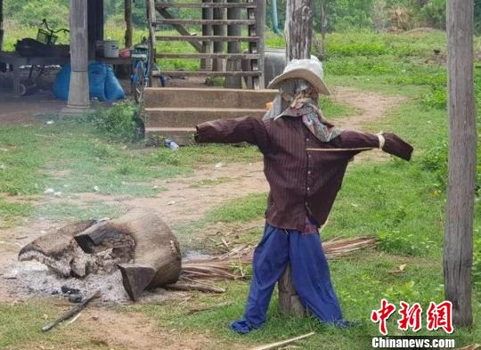 圖為事發村莊。當地《柬中時報》提供