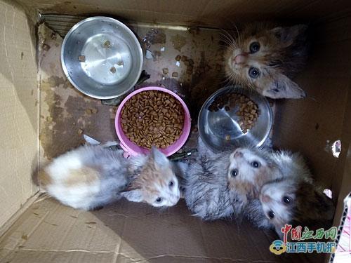 點擊進入下一頁