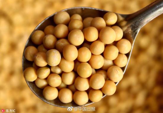 美國代表:美對(duì)華出口大豆今年或減20% 農(nóng)民受影響