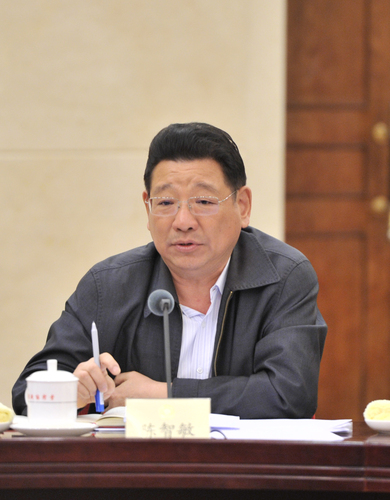 陳智敏