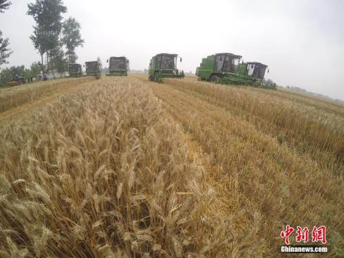 點擊進入下一頁