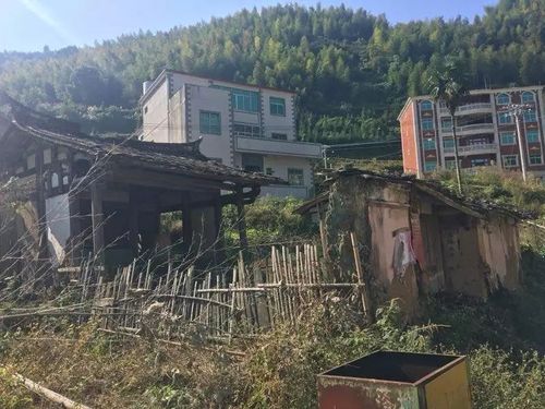 福建一被執行人叫囂來抓我 法官滿足要求拘15天