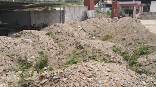 福建一被執行人叫囂來抓我 法官滿足要求拘15天