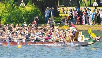 中國(guó)僑網(wǎng)6月16日，加拿大舉行第30屆多倫多國(guó)際龍舟節(jié)，這項(xiàng)為期兩天的傳統(tǒng)活動(dòng)吸引了來(lái)自世界各地的逾5000人參加。圖為參賽者在龍舟賽中。(新華社/鄒崢 攝)