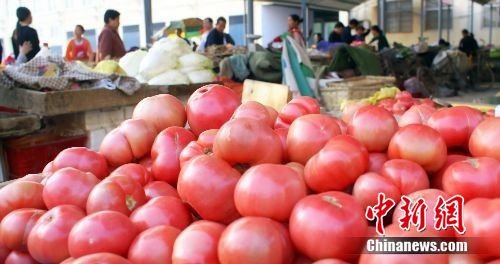 資料圖：市某農(nóng)貿(mào)市場(chǎng)里頭里出售的西紅柿。