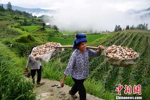 點(diǎn)擊進(jìn)入下一頁