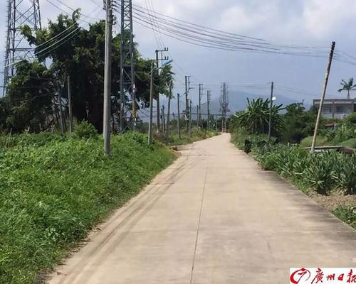 男子被撞身亡卻抓不到肇事者 過路9輛車全要擔責