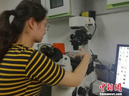 點(diǎn)擊進(jìn)入下一頁