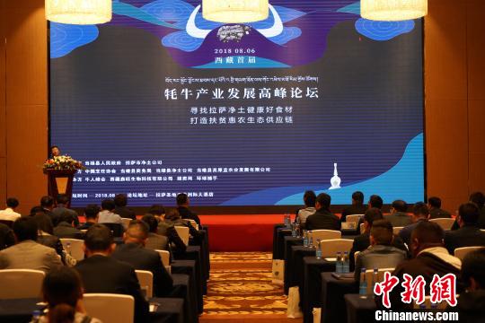 西藏舉辦牦牛產業發展論壇