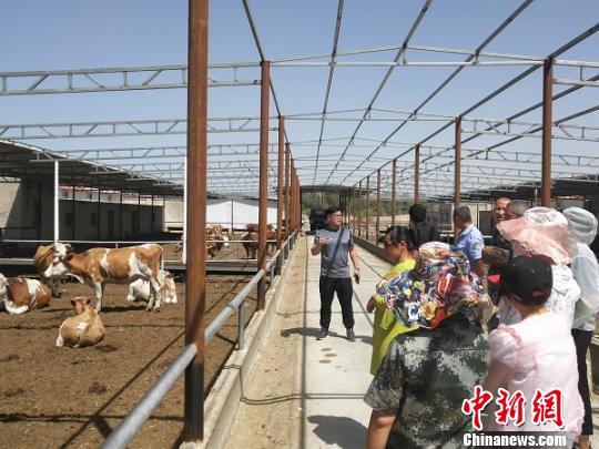 培訓班組織學員實地參觀開拓眼界。(資料圖) 王剛 攝
