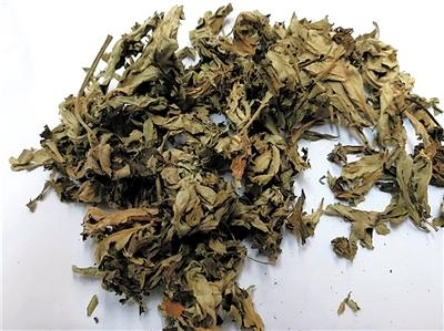 點(diǎn)擊進(jìn)入下一頁