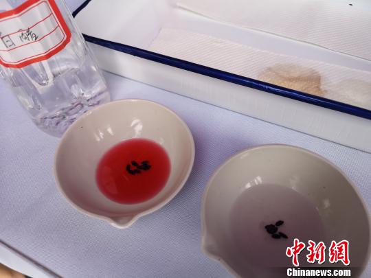 圖為兩江新區(qū)2018年“全國質(zhì)量月”活動現(xiàn)場，工作人員教民眾用白醋檢測黑米真假。左邊液體顏色變紅的是真黑米，右邊沒什么變化的是假黑米。　劉賢 攝
