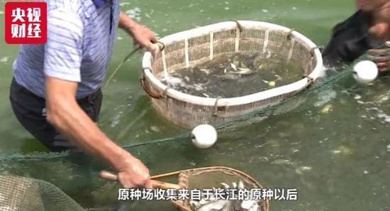 點擊進(jìn)入下一頁