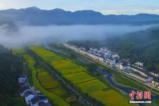 點擊進(jìn)入下一頁