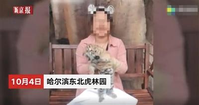 點擊進(jìn)入下一頁