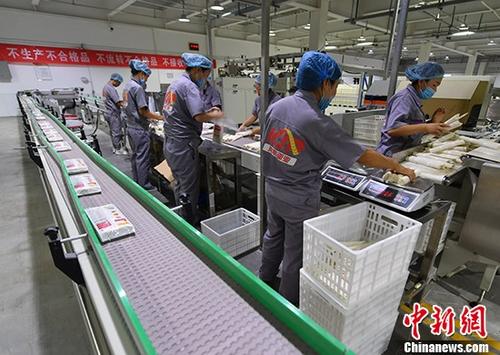 資料圖。 <a target='_blank' href='http://www.chinanews.com/'>中新社</a>記者 劉新 攝