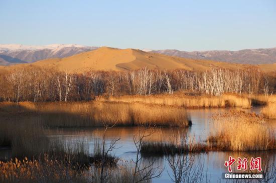 初冬時節(jié)，新疆生產(chǎn)建設(shè)兵團白沙湖景區(qū)。楊東東 攝