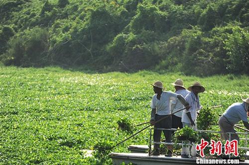 點(diǎn)擊進(jìn)入下一頁