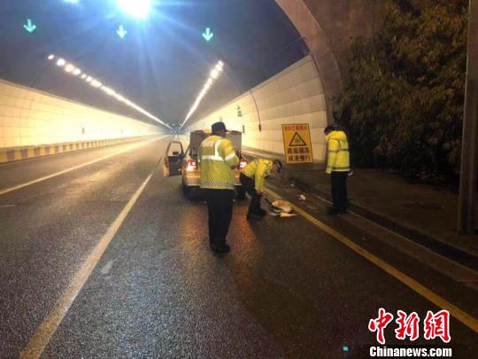 圖為交警進(jìn)行撒鹽除冰工作。貴陽市公安交管局供圖