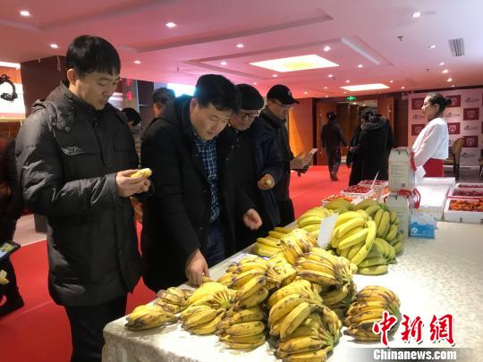 鏈接東盟中國首條“南菜北運”鐵路綠色通道明年擴容