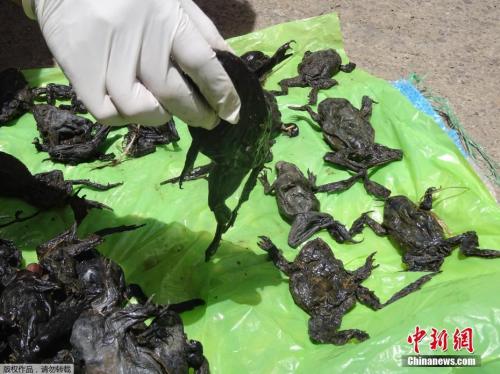 點擊進(jìn)入下一頁