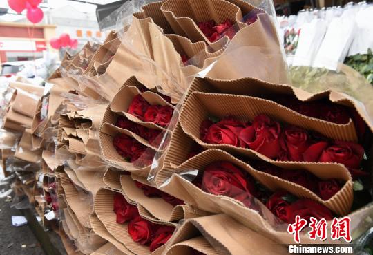 圖為鮮花市場(chǎng)的商家提前備好玫瑰花迎接情人節(jié)。　周毅 攝