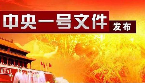 2019年中央一號文件發(fā)布！這些內(nèi)容與你息息相關(guān)