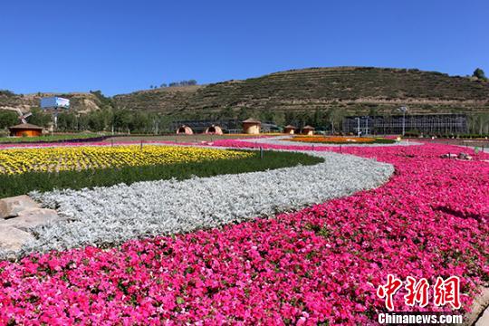 圖為西寧市大通縣花海。(資料圖) 鐘欣 攝