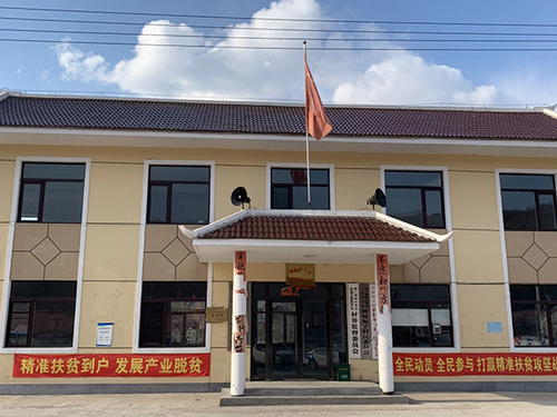 冠軍舉報村支書后 該村村務暫由鎮黨委工作隊負責