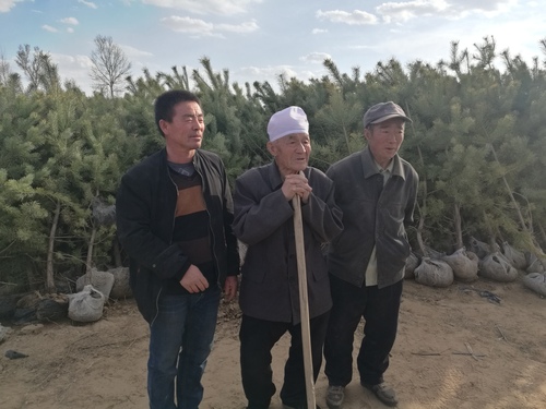 郭成旺父、子孫三代治沙人 郭成旺父、子孫三代治沙人