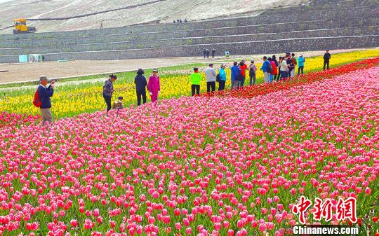 “短途周邊游”受追捧內地民眾樂享“慢生活”