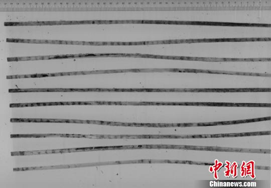荊州龍會(huì)河北岸墓地M324出土戰(zhàn)國(guó)楚簡(jiǎn)紅外掃描照片。荊州博物館供圖