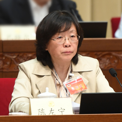 陳左寧:堅持自主創新補齊關鍵核心技術短板