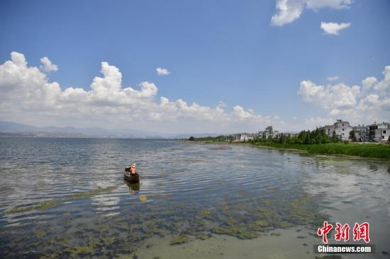 位于云南省大理白族自治州的洱海是云南第二大淡水湖泊。 <a target='_blank' href='http://www.chinanews.com/'>中新社</a>記者 劉冉陽 攝