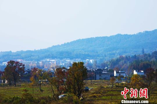 資料圖：安徽省傳統村落——黃山市塔川村。　張強 攝