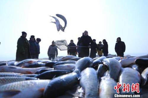 資料圖：博斯騰湖冬捕現場。 年磊 攝