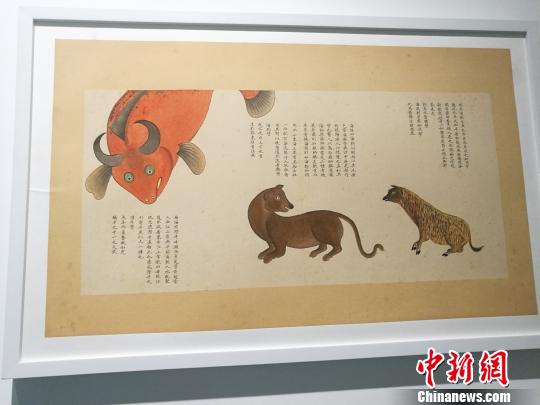 “故宮里的海洋世界--《海錯圖》多媒體綜合展”，11日下午在深圳海上世界藝術文化中心開幕?！∴嵭〖t 攝