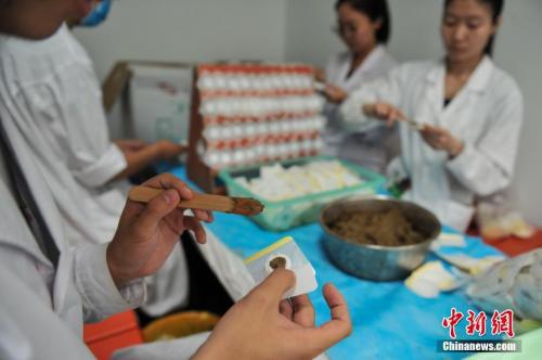 資料圖：云南省中醫(yī)院的醫(yī)生制作“三伏貼”。中新社記者 任東 攝